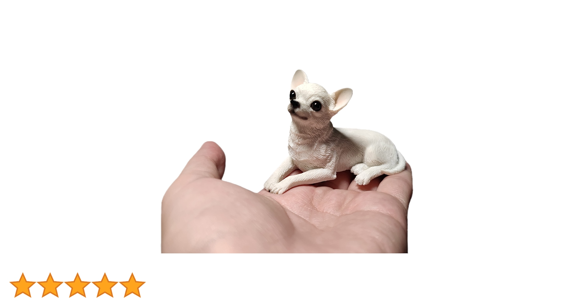 61sXt4Z6P0L.jpg_BO30,255,255,